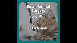Veterinary Postgraduate Certificate Programmes