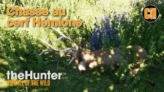 THE HUNTER COTW chasse au cerf h&eacute;mione