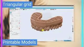 Maestro 3D | Dental Studio Expert | Modelli Stampabili