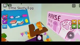 All egg locations! Play cats morphs: Friend rescue! times are in the description