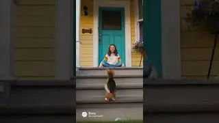 Dog Finds Little Girls Missing Toys ❤️&zwj;🩹🥹 #ai #animals #dog #foryou #funny