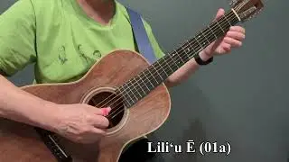 Liliʻu Ē / slack key guitar for beginners : level 1