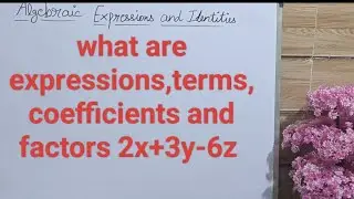 what are terms, coefficients and factors|algebraic expression and identities
