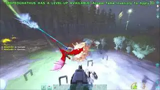 El terror de los cielos, Tropeo PVP, servidor oficial