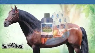 Horse Colic  SayWhoa - Educational Video Horse Digestive Tract for Horse Owners