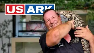 Intrepid Exotics Takes OVER USARK