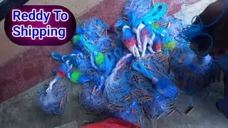 Gill Net Reddy To Shipping, Wholesale Price #shorts