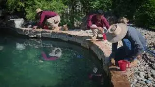 Hardscaping & Pool Deck Upgrade With P.O.P.S. Landscaping