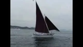 Grain de Sel  Les voiles latines de St Tropez