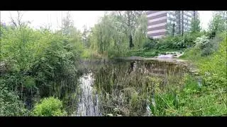 Heempark 13 mei 2021