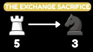 Why do Chess Grandmasters Trade Their Rooks for Knights?