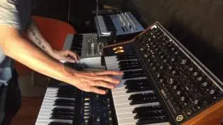 M.E.M.O. Making Tai Tai in the studio