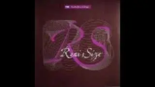 Roni Size   Swings And Roundabouts