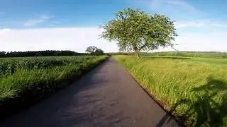 Cycling in Schurwald - Das Kaiserstr&auml;&szlig;le auf dem Schurwald