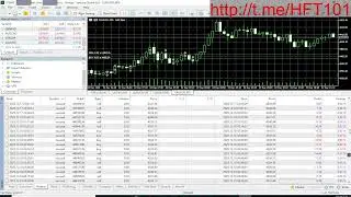 EA Budak Flat vs WP7 HFT EA - Forex Robots Challange  #challenge #HFTWesternPips