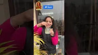 Winter Plant Health Hack: Yellow Leaves Ko 7 Din Me Theek Karein!