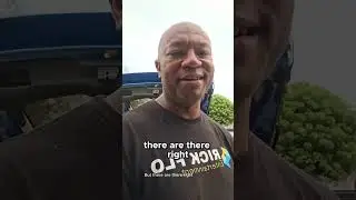 🎧 