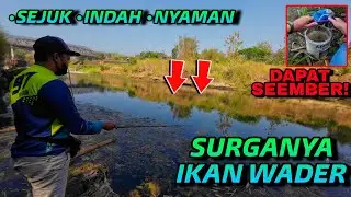 SPOT MANCING IKAN WADER REKOMENDED JOGJA‼️ SYAHDU BAWAH JEMBATAN SILUK IMOGIRI‼️