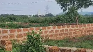 Prime 4703 Sqft Yellow Zone Plot in Chandaka | Just 700m from NH to Baranga | ₹650/sqft