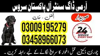 Army Dog Center #03009195279 #03335986666 | Khoji Dogs | Fauji Kutta | Khoji Kutta contact number 