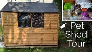 Guinea Pig Shed Tour - April 2020