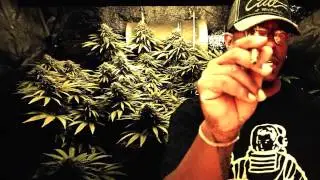SpaceJam Melo - On Me [Official Video]