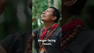 Song for the Forests of #Yasuni by Indigenous Defender Alex Lucitante