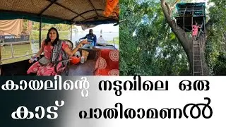 A beautiful forest in the middle of Pathiramanal Lake #video #travel #boating #alappuzha #food