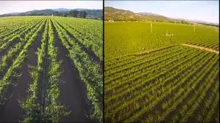 Anaba Wines
