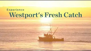 Experience Westport's Fresh Catch