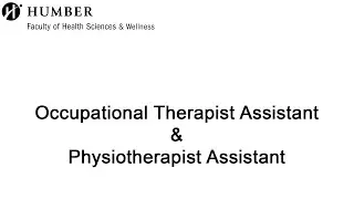 Occupational Therapist Assistant & Physiotherapist Assistant - an overview of the program
