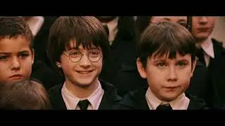 Harry Potter - der sprechende Hut