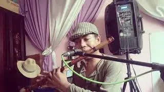 ALADOM=Cover