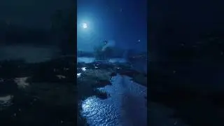 Beautiful movies of Nature ✨(5)