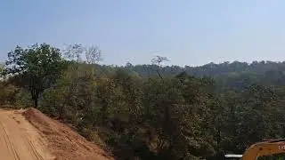 Short & Sweet Nature&rsquo;s therapy. 🍃 #rajeevharnaut  #nature #Mindfulness #Vibe