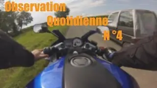 Observation quotidienne #4