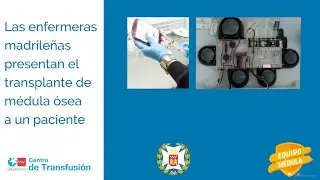 Píldora 3: Trasplante de médula ósea a un paciente
