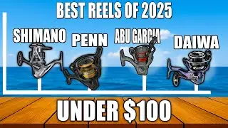 TOP 5 Best Spinning Reels Under $100 (2026)