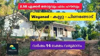 2.50 ഏക്കർ വരുമാനമുള്ള തോട്ടവും വീടും Beautiful Agri Farm Farm House House For Sale Wayanad Kalpetta