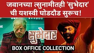 जवानच्या त्सुनामीत ही 'सुभेदार' ची यशस्वी घोडदौड सुरूच! Subhedar Box office collection | Digpal Lanj