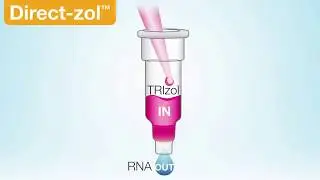 TRIzol&reg; in RNA out