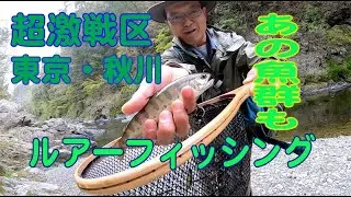 激戦区秋川のヤマメがたくさん釣れました。東京都多摩川支流の中流域でルアーフィッシング　ヒットシーンもあります。fishing in Japan
