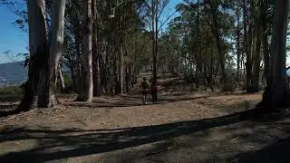 San Rafael Hills