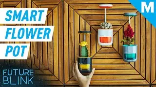 This Smart Flowerpot Can Water And Sun Itself | Future Blink