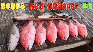 Bonus Red Snapper Spearfishing Trip #1 - Destin / Fort Walton Beach, FL