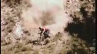 Freeride /downhill