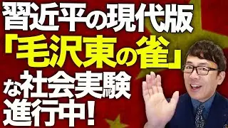 中国経済ガチカウントダウン！人民の中で「後発劣位の呪い」が深刻化！？地域格差放置・地方都市が崩壊中！！チーフエコノミスト習近平の現代版「毛沢東の雀」な社会実験進行中！｜上念司チャンネル ニュースの虎側