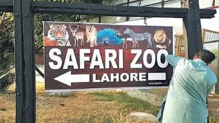 Safari Park Zoo Lahore Enjoing Best Movements
