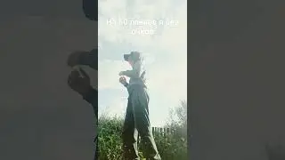 ровиии там вайбик💞