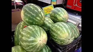 Highlands Ranch Farmers Market